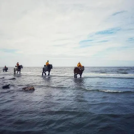 Lägenhet In Near The Coast