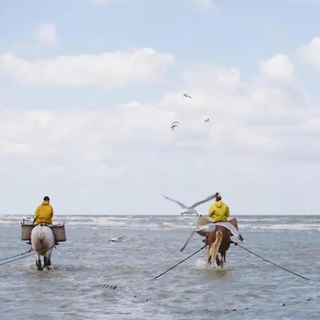 In Near The Coast Lägenhet Oostduinkerke